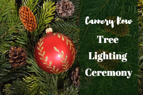 tree lighting in Monterey Ca