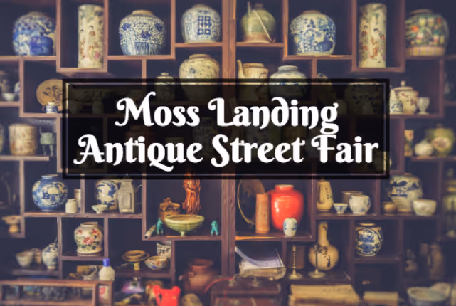 moss landing antique fair