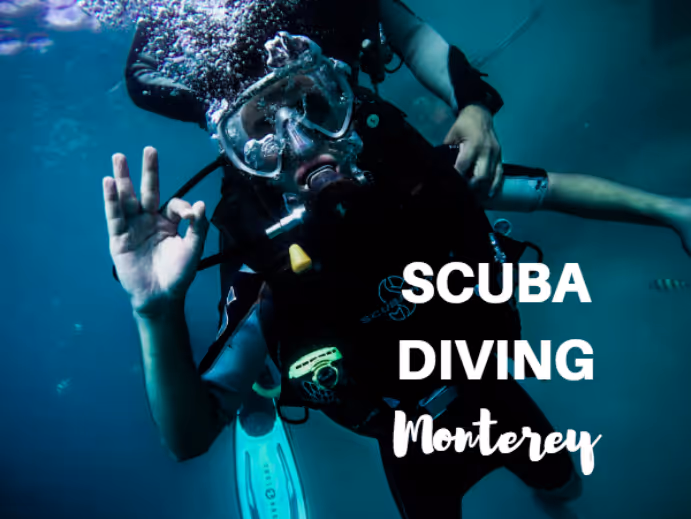 scuba diving monterey ca