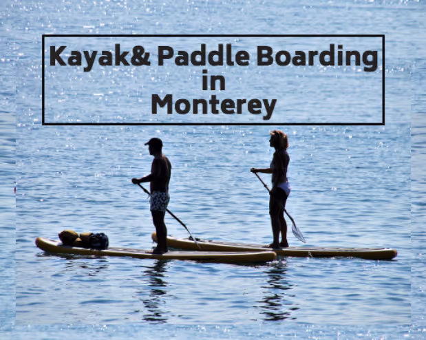 outdoor things to do in monterey