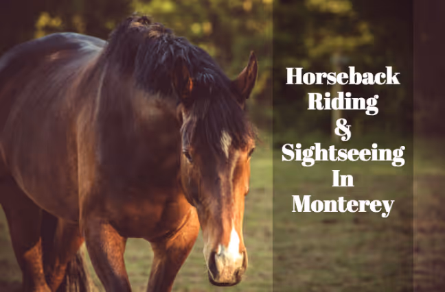 monterey bay horseback riding