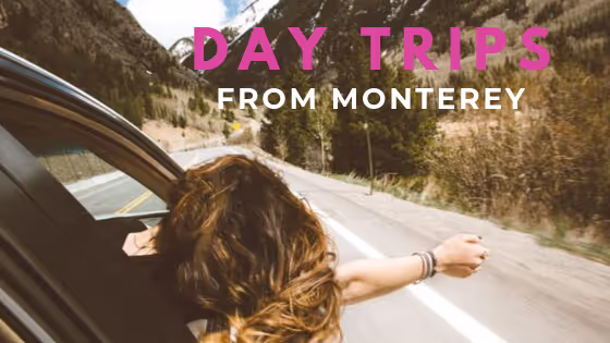 monterey california day trips