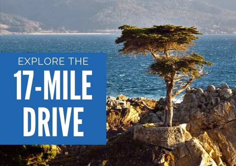 The Lone Cypress - Explore the 17-Mile Drive
