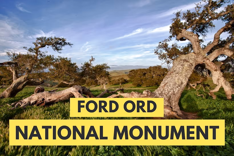 Fort Ord National Monument - Scene with oaks
