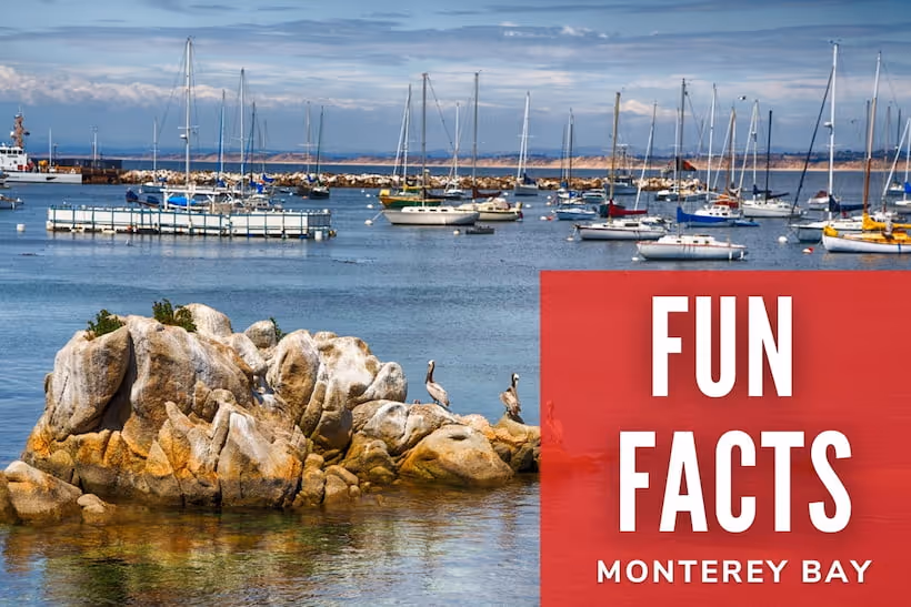 Fun Facts - Monterey Bay - Boats Landscape