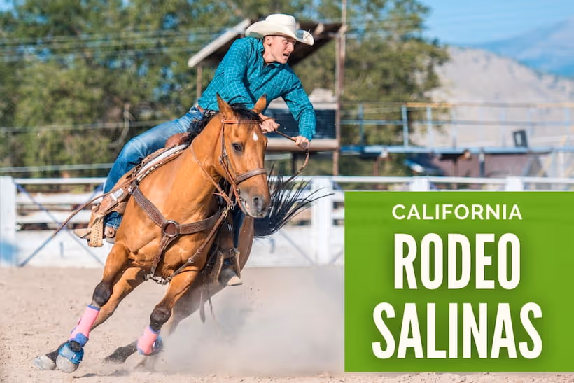 California Rodeo Salinas - Man riding a horse