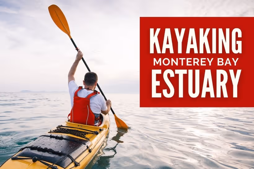 Kayaking Monterey Estuary - Man kayaking