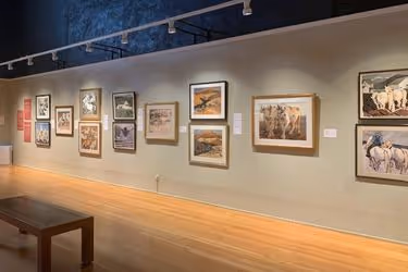 Exhibition at The Museum of Art