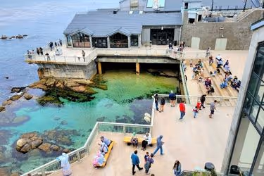 Monterey Bay Aquarium