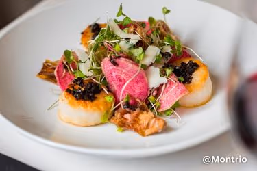 Seared Scallops at Montrio