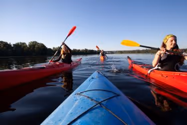 Elkhorn Slough Guided Kayak Tours