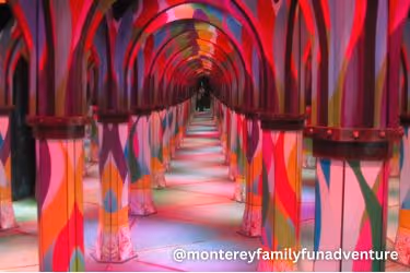 monterey family fun adventure