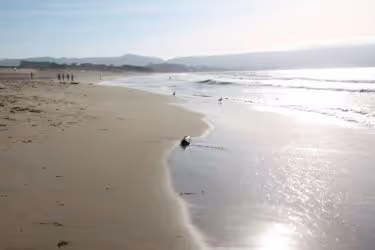 Monterey State Beach