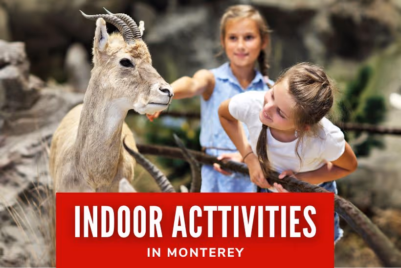 Indoor Activities in Monterey - Kids in a Natural History Museum