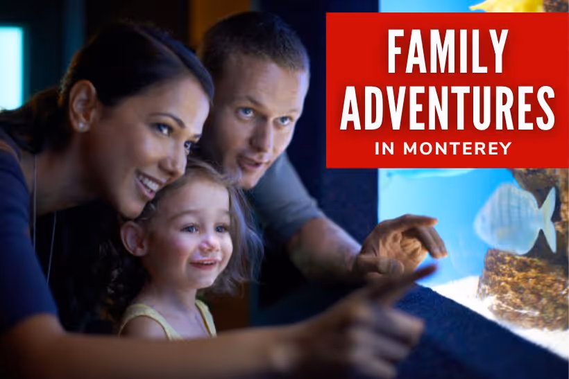 Family Adventures in Monterey - Family in the aquarium