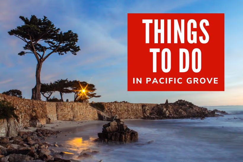Best Things to Do in Pacific Grove, CA
