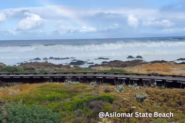 Asilomar State Beach