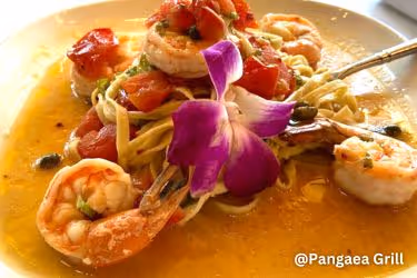 Pangaea Grill Shrimp fettucinni