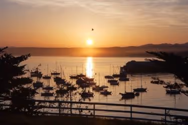 Lower Presidio Historic Park View