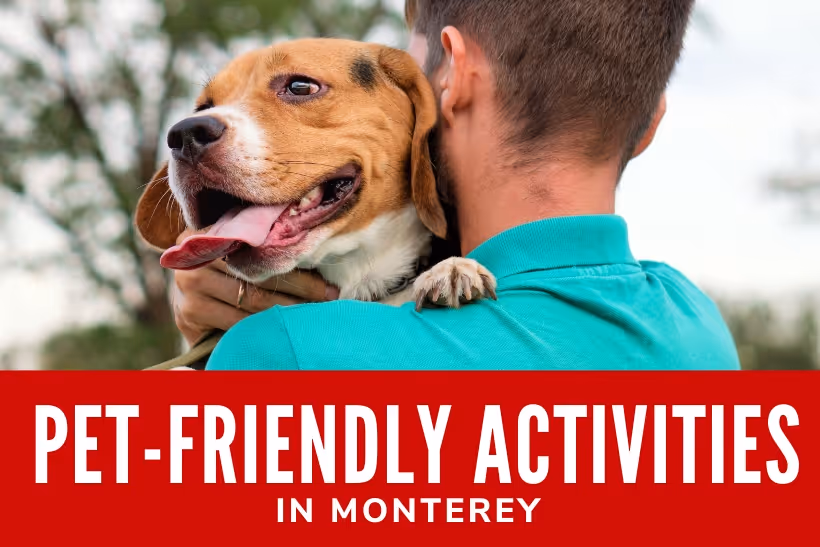 Pet-Friendly Activities in Monterey