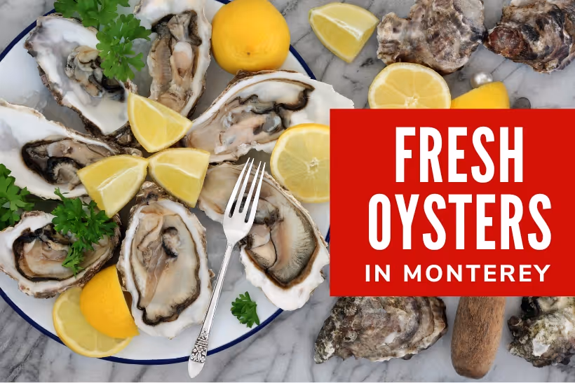 Fresh Oyster Finds in Monterey, CA - Fresh Oysters