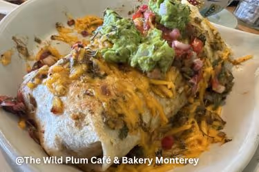 Vegan Breakfast Burrito at The Wild Plum Café & Bakery