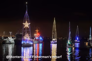 Boats with Christmas Lights
