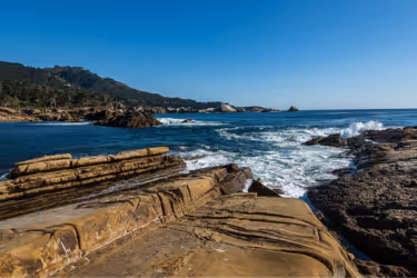 Point Lobos State Natural Reserve