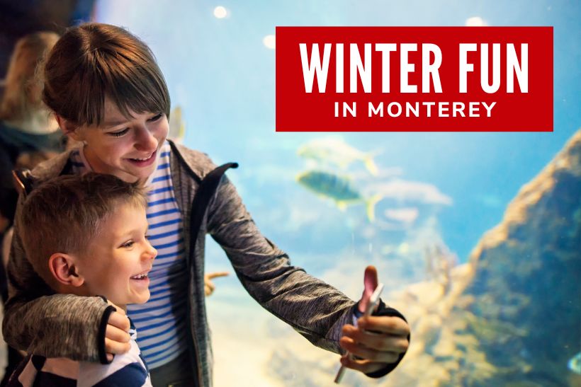 Things to Do with Kids This Winter - Kids in the aquarium