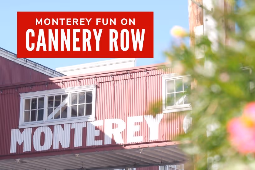 Monterey Fun on Cannery Row