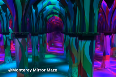 Monterey Mirror Maze