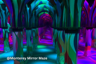 Monterey Mirror Maze
