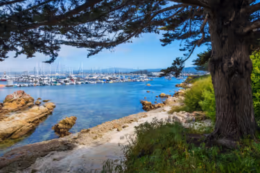 overlooking a marina