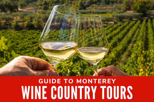 Guide to Monterey Wine Country Tours