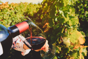 Drinking red wine in a vine yard