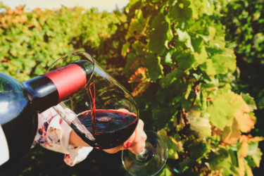 Drinking red wine in a vine yard