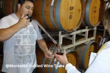Monterey Guided Wine Tours