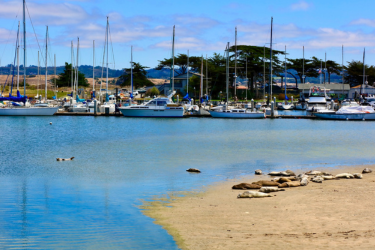 Moss Landing