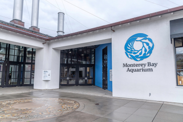Monterey Bay Aquarium