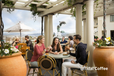 Tidal Coffee View