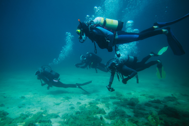 Four scuba divers swim above a rocky ocean floor, with bubbles rising through the blue water.