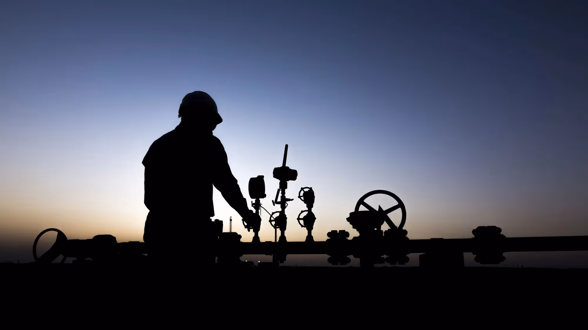 Sitewide Project Solutions - Services