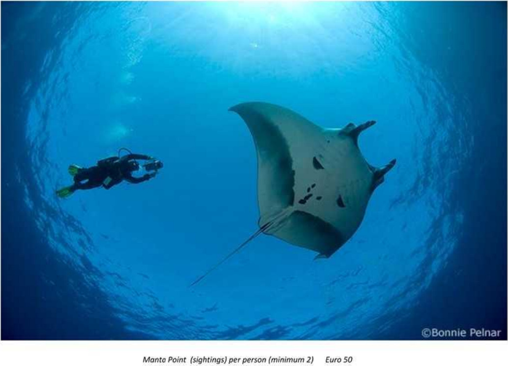 Snorkeling with Manta rays