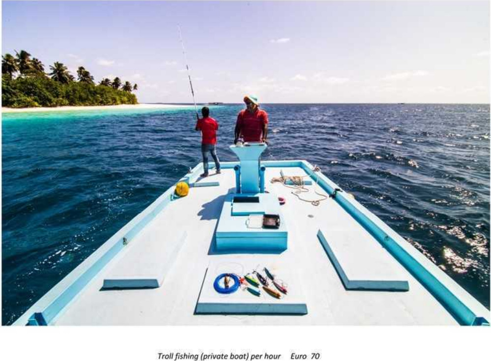 Private boat with skipper