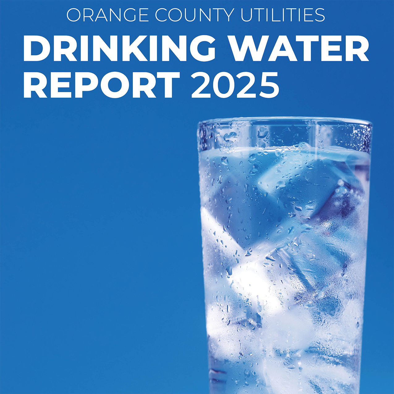 Annual Water Reports