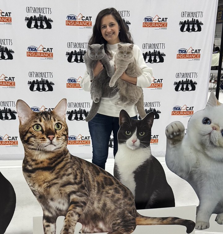 Vet with several cats