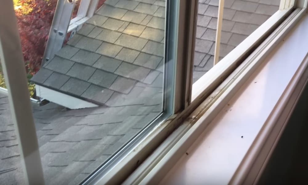 Window Track Cleaning