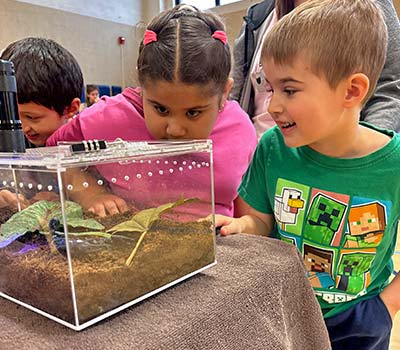 Little girl with cupcake cake at birthday party