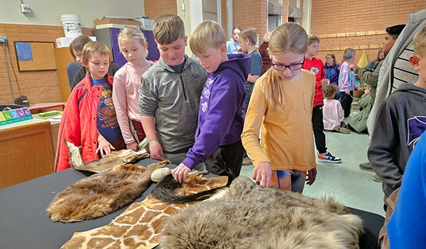 Zoo Rental With Tent