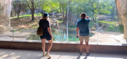 Rendering of Tiger Falls Viewing Area